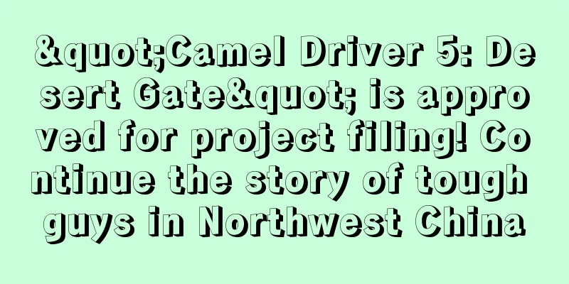 "Camel Driver 5: Desert Gate" is approved for project filing! Continue the story of tough guys in Northwest China