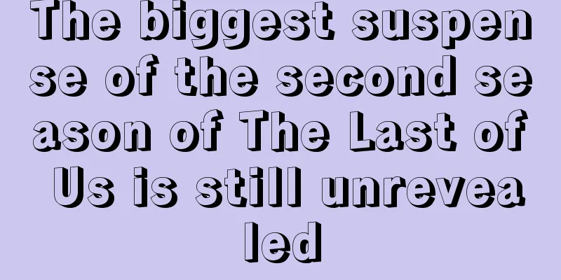 The biggest suspense of the second season of The Last of Us is still unrevealed