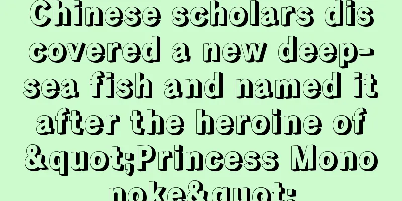 Chinese scholars discovered a new deep-sea fish and named it after the heroine of "Princess Mononoke"
