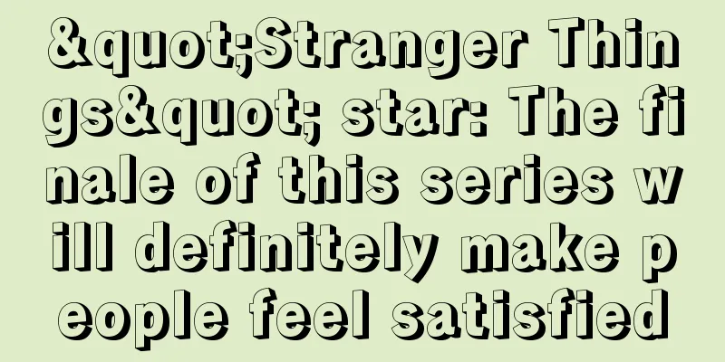 "Stranger Things" star: The finale of this series will definitely make people feel satisfied