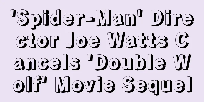 'Spider-Man' Director Joe Watts Cancels 'Double Wolf' Movie Sequel