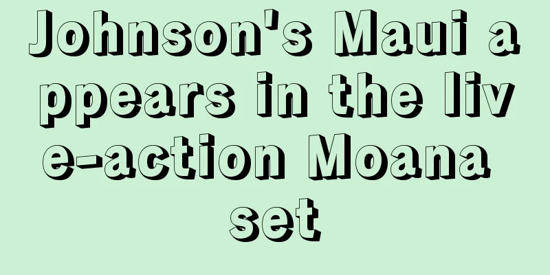 Johnson's Maui appears in the live-action Moana set