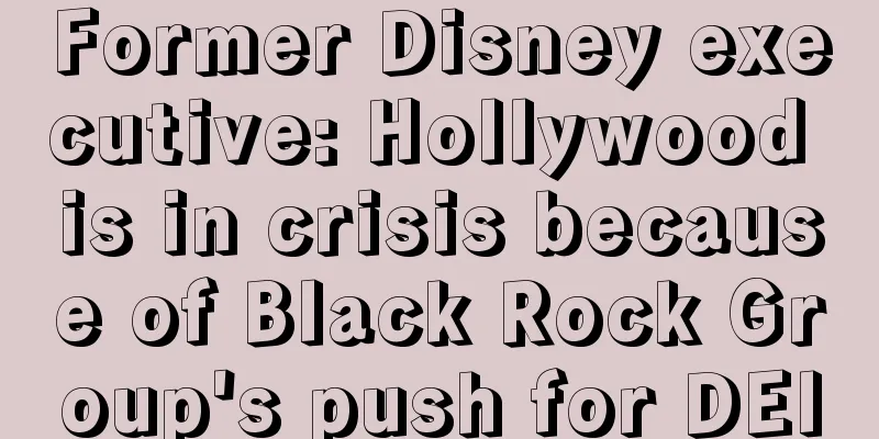 Former Disney executive: Hollywood is in crisis because of Black Rock Group's push for DEI