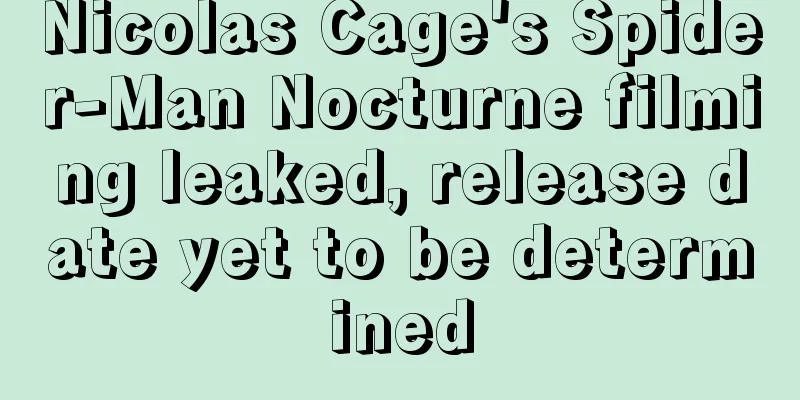 Nicolas Cage's Spider-Man Nocturne filming leaked, release date yet to be determined