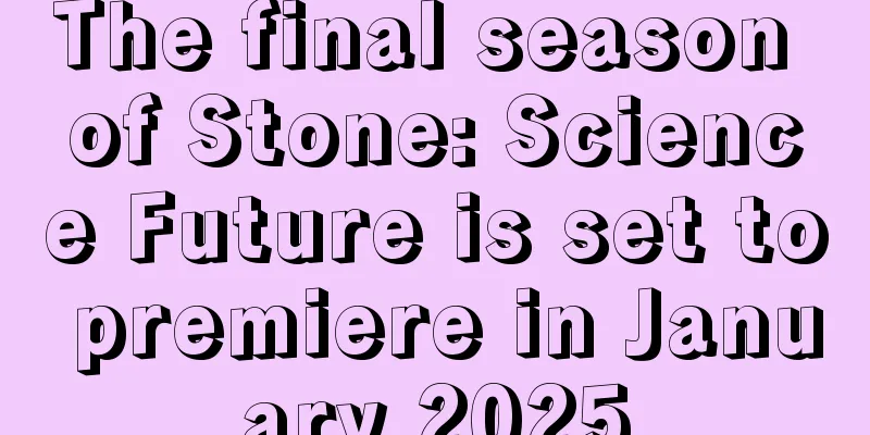 The final season of Stone: Science Future is set to premiere in January 2025