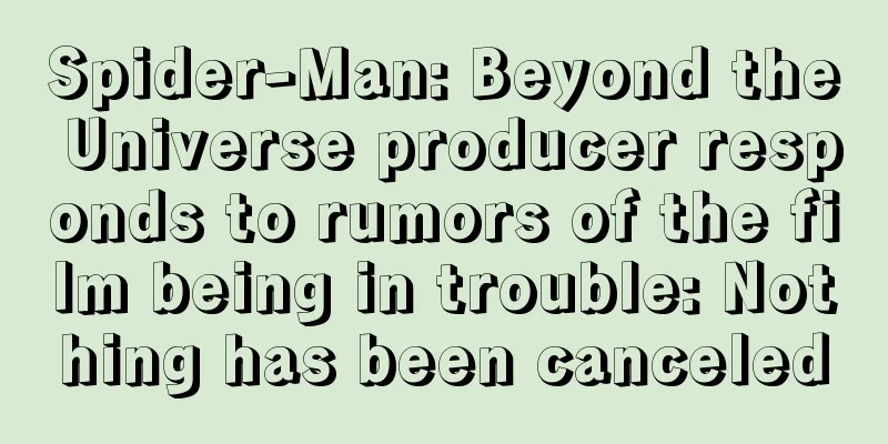 Spider-Man: Beyond the Universe producer responds to rumors of the film being in trouble: Nothing has been canceled