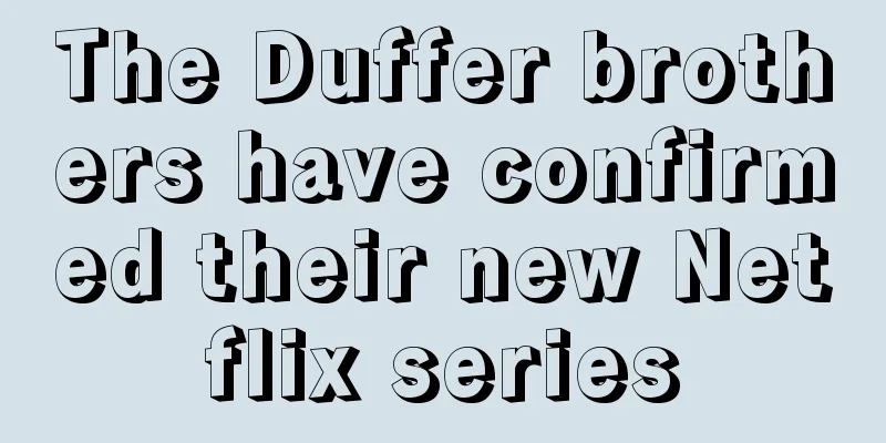 The Duffer brothers have confirmed their new Netflix series