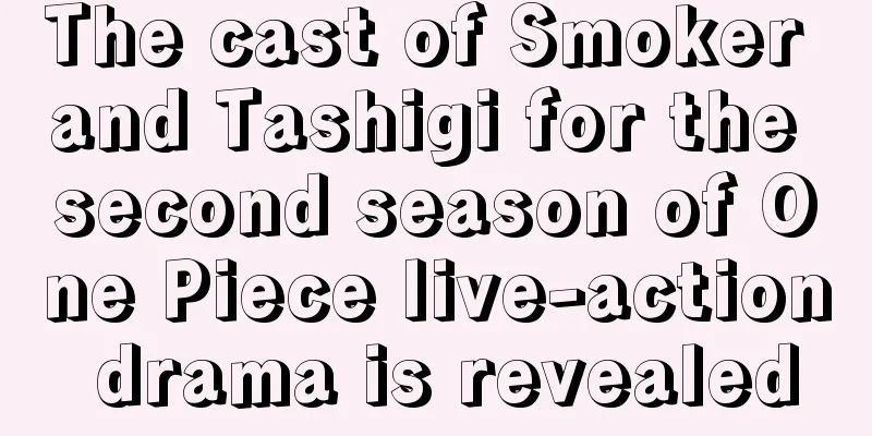 The cast of Smoker and Tashigi for the second season of One Piece live-action drama is revealed