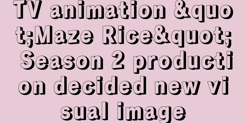 TV animation "Maze Rice" Season 2 production decided new visual image