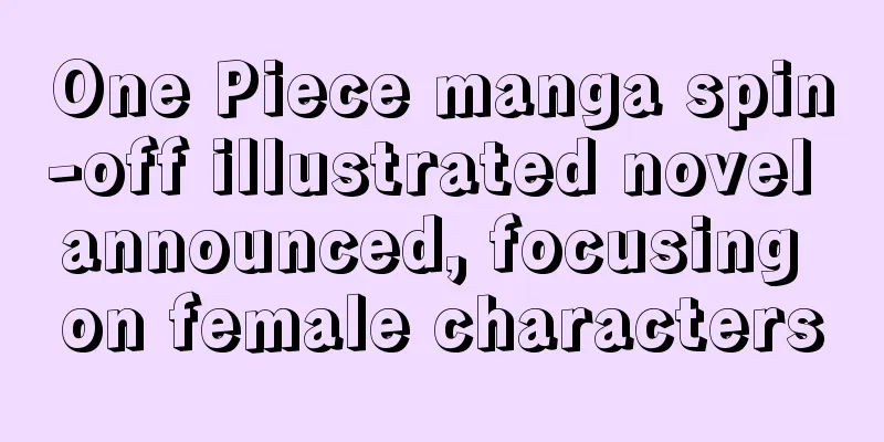 One Piece manga spin-off illustrated novel announced, focusing on female characters
