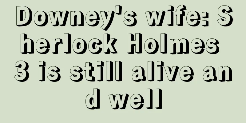 Downey's wife: Sherlock Holmes 3 is still alive and well