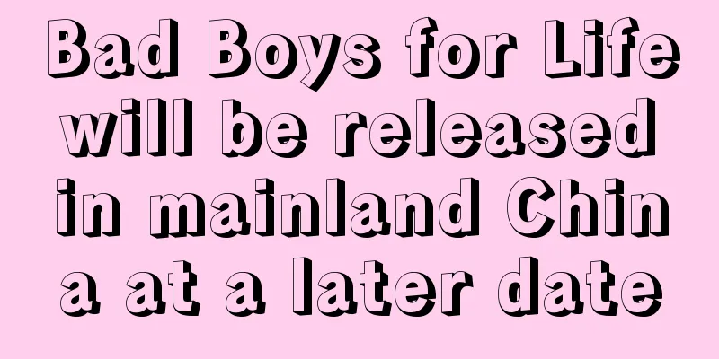 Bad Boys for Life will be released in mainland China at a later date