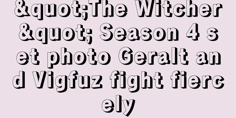 "The Witcher" Season 4 set photo Geralt and Vigfuz fight fiercely
