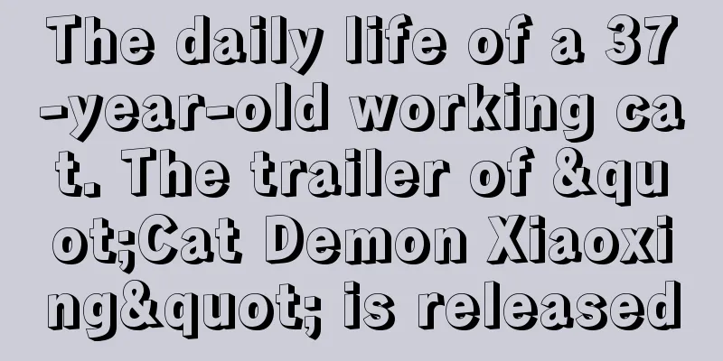 The daily life of a 37-year-old working cat. The trailer of "Cat Demon Xiaoxing" is released