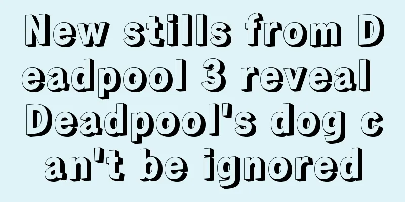 New stills from Deadpool 3 reveal Deadpool's dog can't be ignored