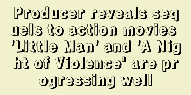 Producer reveals sequels to action movies 'Little Man' and 'A Night of Violence' are progressing well