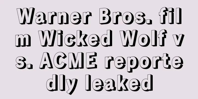 Warner Bros. film Wicked Wolf vs. ACME reportedly leaked