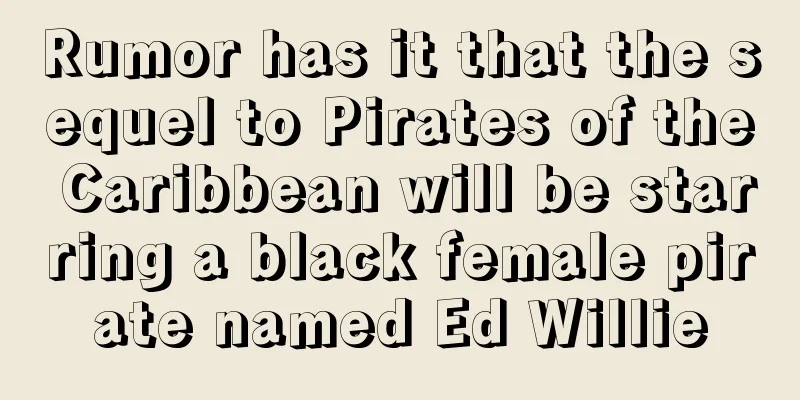 Rumor has it that the sequel to Pirates of the Caribbean will be starring a black female pirate named Ed Willie