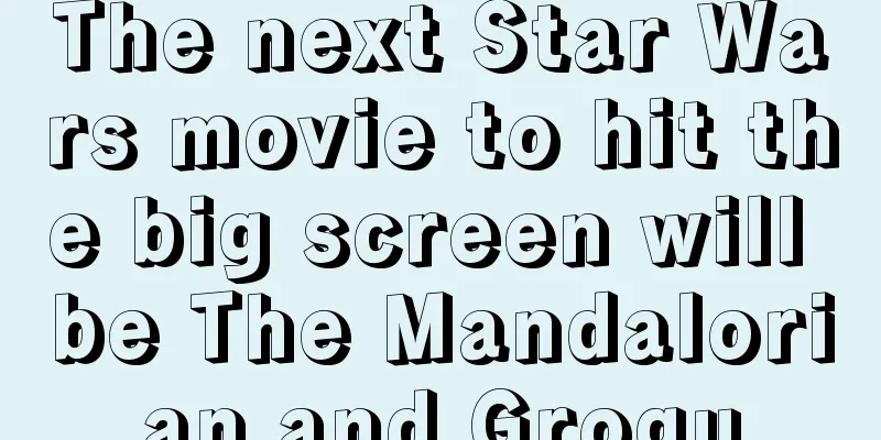 The next Star Wars movie to hit the big screen will be The Mandalorian and Grogu