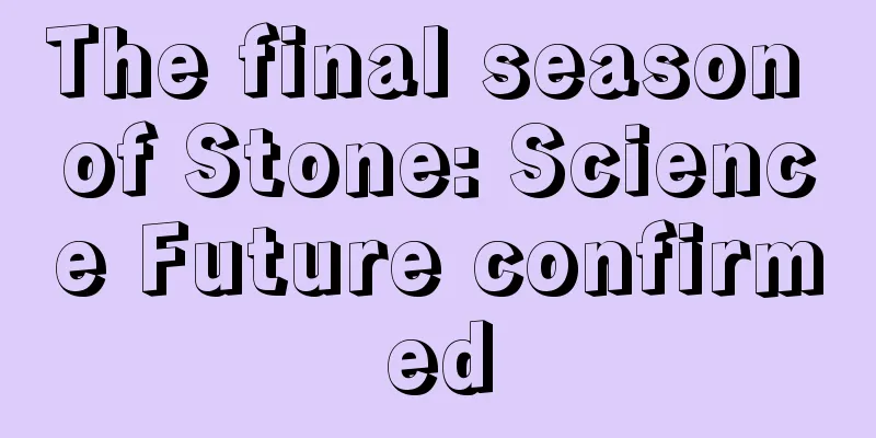 The final season of Stone: Science Future confirmed