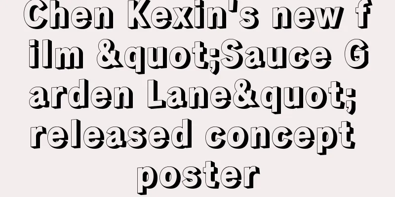 Chen Kexin's new film "Sauce Garden Lane" released concept poster