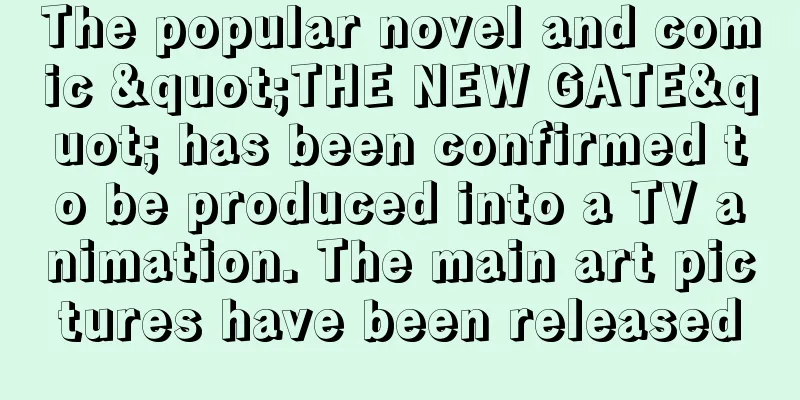 The popular novel and comic "THE NEW GATE" has been confirmed to be produced into a TV animation. The main art pictures have been released