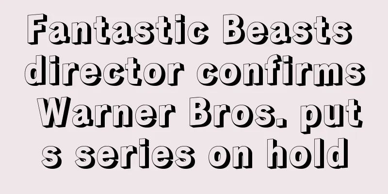 Fantastic Beasts director confirms Warner Bros. puts series on hold