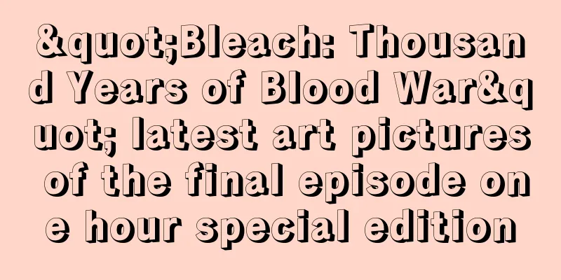"Bleach: Thousand Years of Blood War" latest art pictures of the final episode one hour special edition