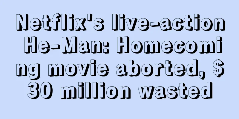 Netflix's live-action He-Man: Homecoming movie aborted, $30 million wasted