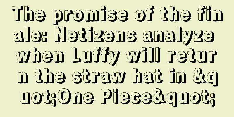 The promise of the finale: Netizens analyze when Luffy will return the straw hat in "One Piece"