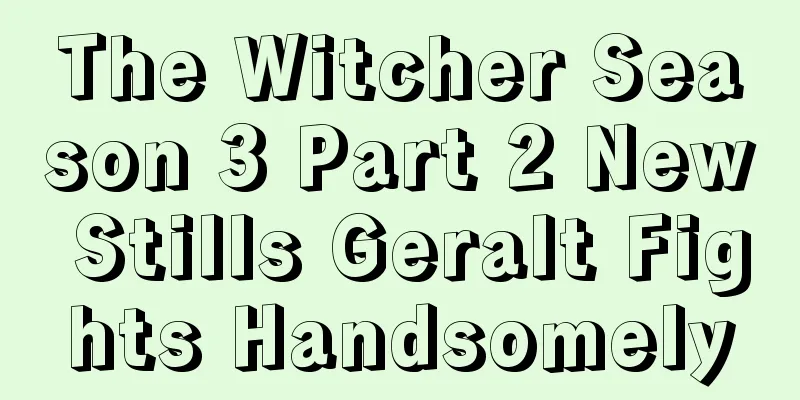 The Witcher Season 3 Part 2 New Stills Geralt Fights Handsomely