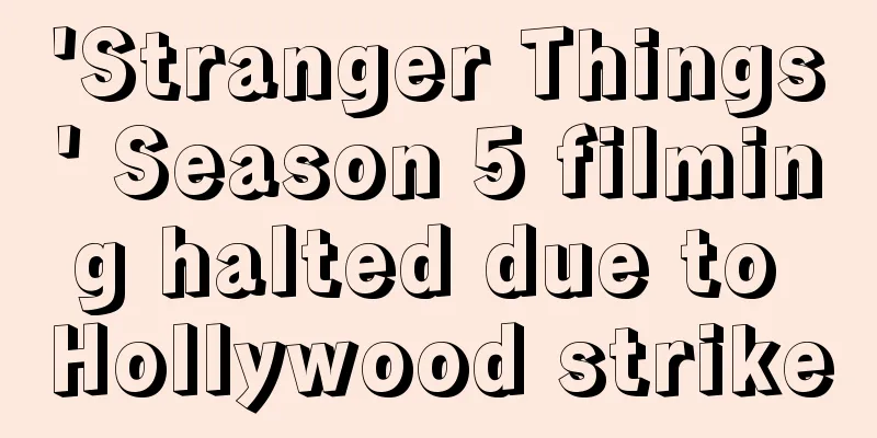'Stranger Things' Season 5 filming halted due to Hollywood strike