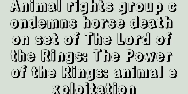 Animal rights group condemns horse death on set of The Lord of the Rings: The Power of the Rings: animal exploitation