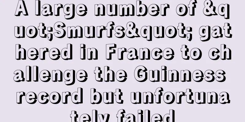 A large number of "Smurfs" gathered in France to challenge the Guinness record but unfortunately failed