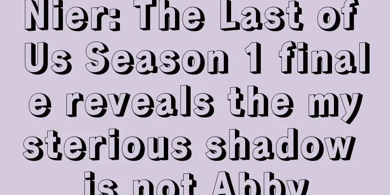 Nier: The Last of Us Season 1 finale reveals the mysterious shadow is not Abby