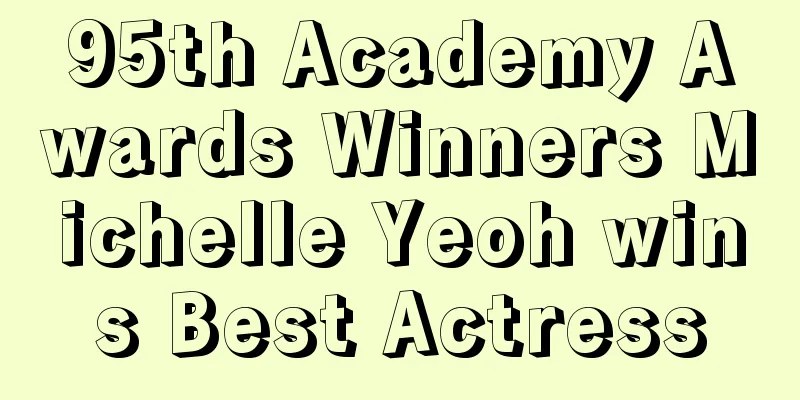 95th Academy Awards Winners Michelle Yeoh wins Best Actress