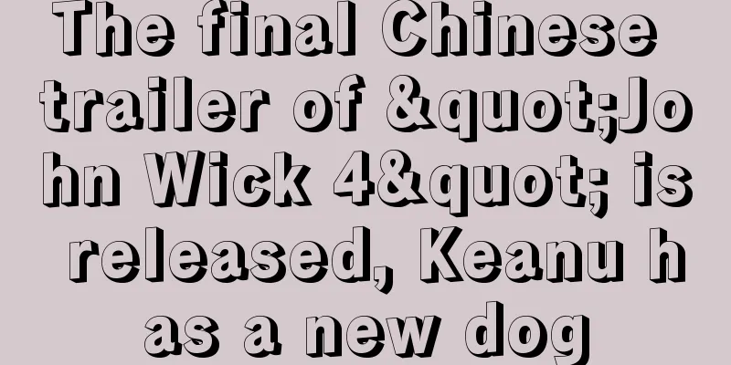 The final Chinese trailer of "John Wick 4" is released, Keanu has a new dog