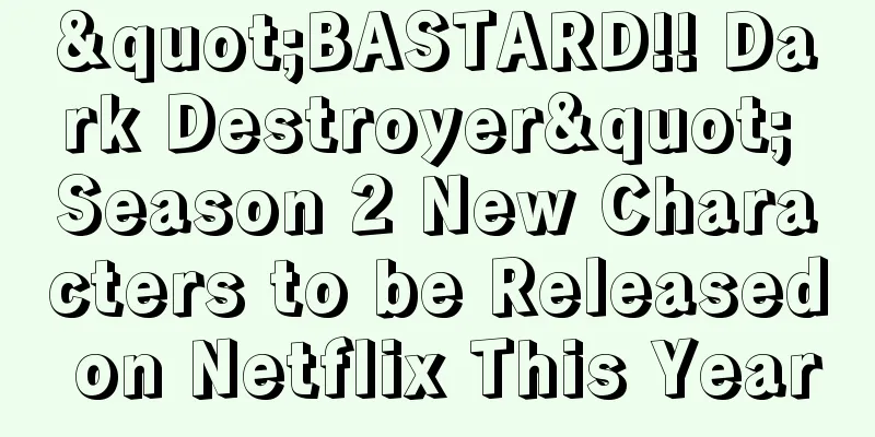 "BASTARD!! Dark Destroyer" Season 2 New Characters to be Released on Netflix This Year