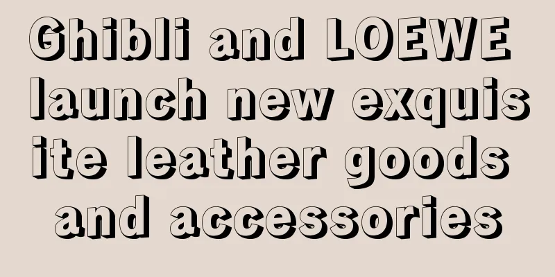 Ghibli and LOEWE launch new exquisite leather goods and accessories