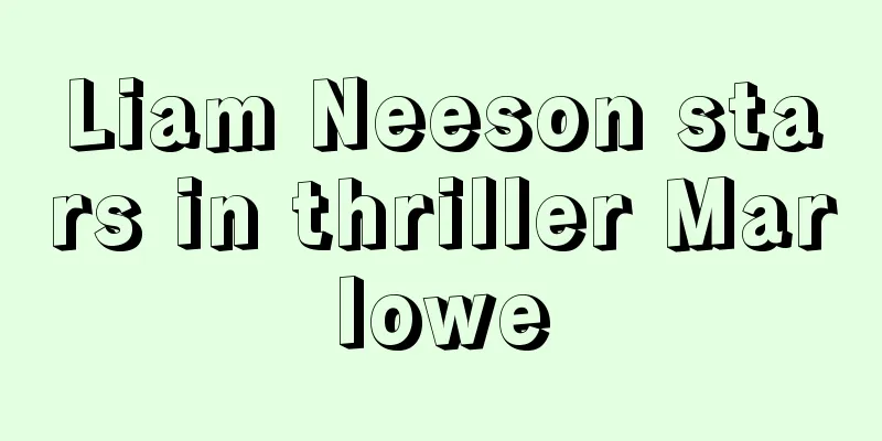 Liam Neeson stars in thriller Marlowe