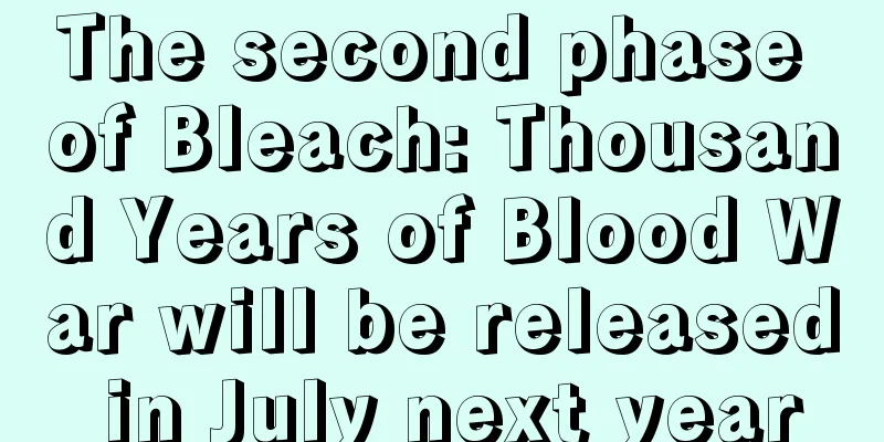 The second phase of Bleach: Thousand Years of Blood War will be released in July next year