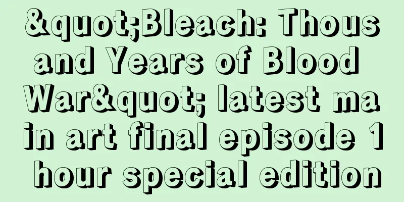 "Bleach: Thousand Years of Blood War" latest main art final episode 1 hour special edition