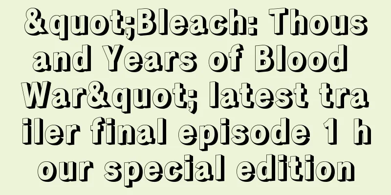 "Bleach: Thousand Years of Blood War" latest trailer final episode 1 hour special edition