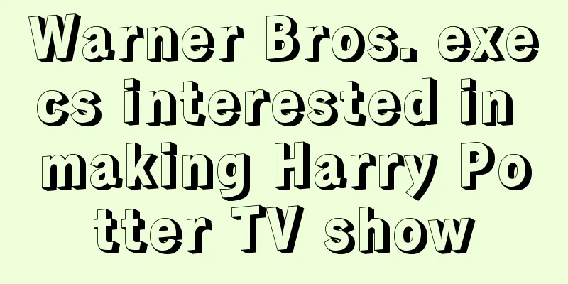 Warner Bros. execs interested in making Harry Potter TV show