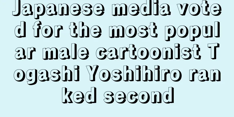 Japanese media voted for the most popular male cartoonist Togashi Yoshihiro ranked second