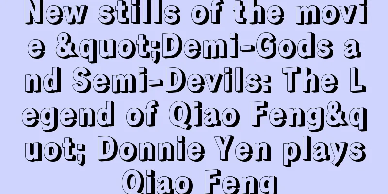 New stills of the movie "Demi-Gods and Semi-Devils: The Legend of Qiao Feng" Donnie Yen plays Qiao Feng