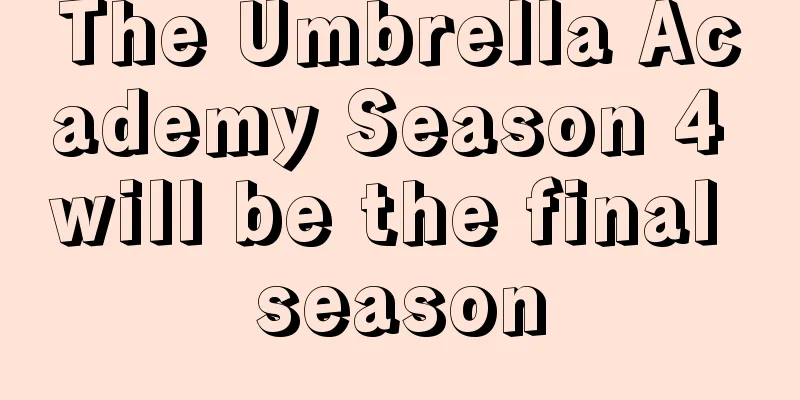 The Umbrella Academy Season 4 will be the final season