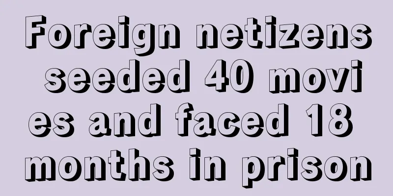 Foreign netizens seeded 40 movies and faced 18 months in prison