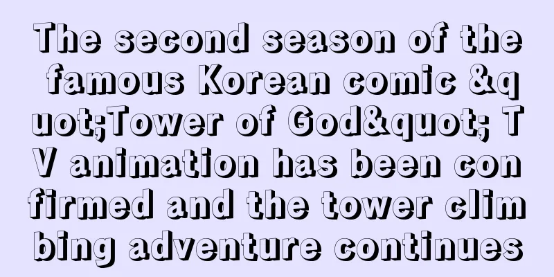 The second season of the famous Korean comic "Tower of God" TV animation has been confirmed and the tower climbing adventure continues