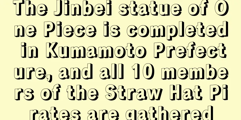 The Jinbei statue of One Piece is completed in Kumamoto Prefecture, and all 10 members of the Straw Hat Pirates are gathered